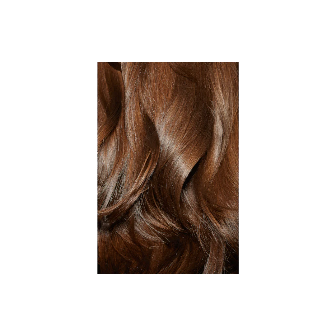 2-in-1 Hair Dryer Brush Duet Blowdry - Image 4